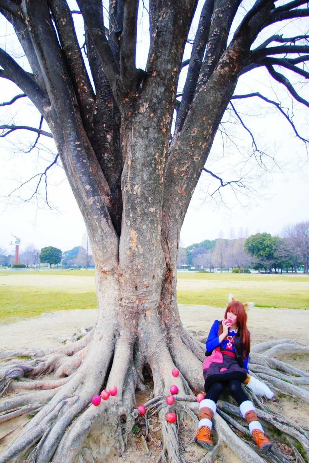 [Cosplay] 2013.04.13 Spice and Wolf Hot Cosplay